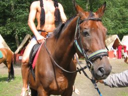 2005 2. běh - Objevování divokého západu